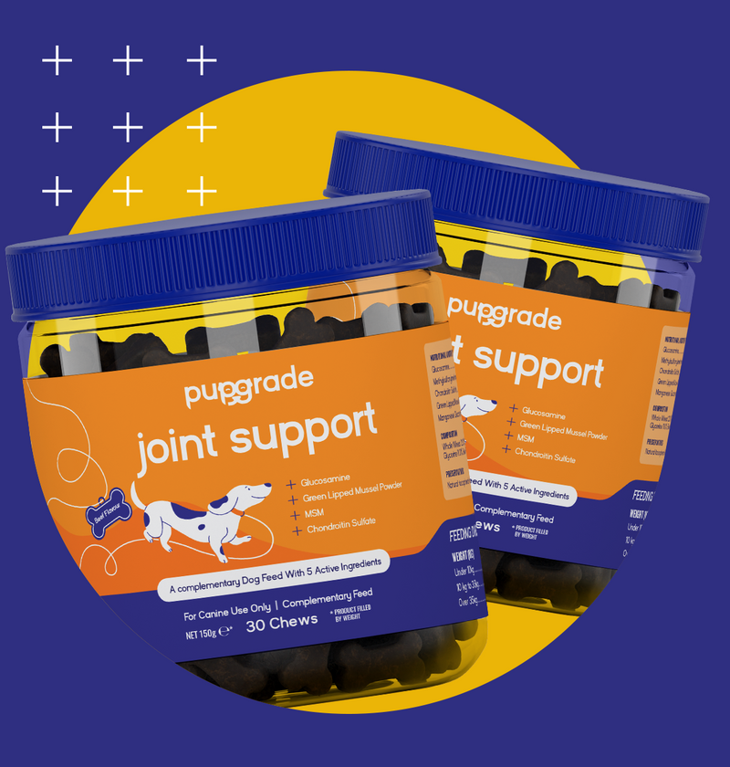 Pupgrade joint support